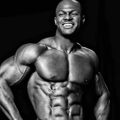 Rob Niter profile