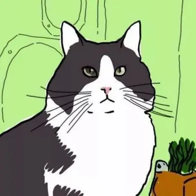 Limón el gatito pianista profile