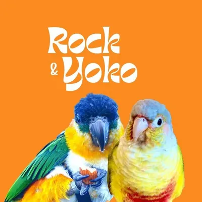 Rock, Yoko & Molly profile