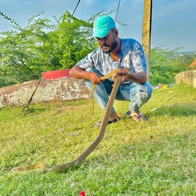 , Rock Mallu profile