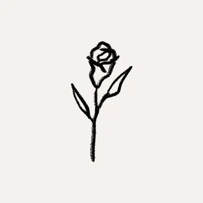 rock n rose profile