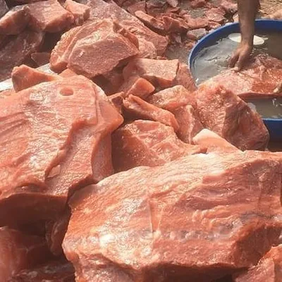Gangji Salts profile