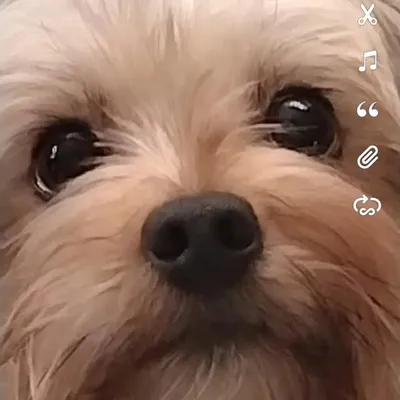 Rocky profile