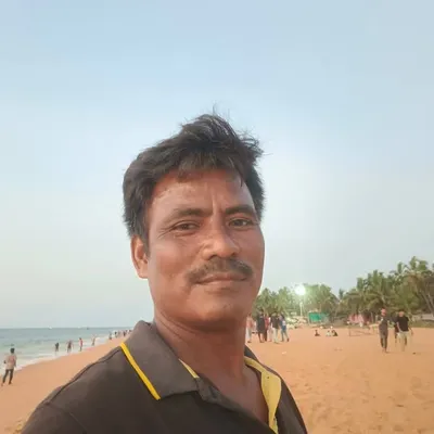 Rocky Roy profile