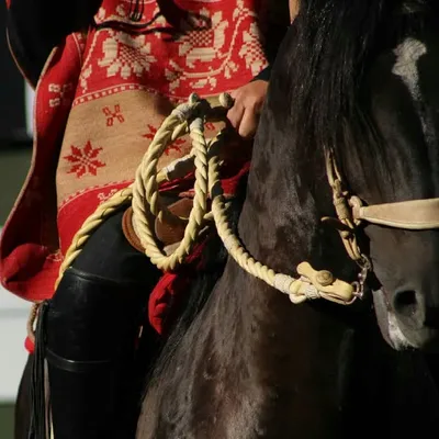 RodeoYcampoChileno profile