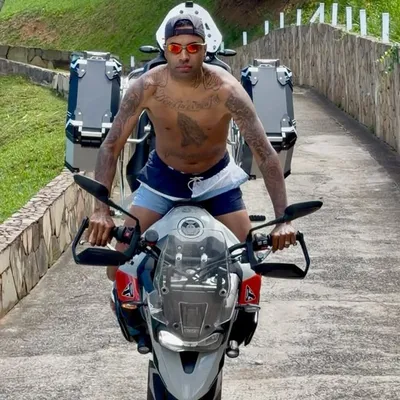 Rodrigo liso profile