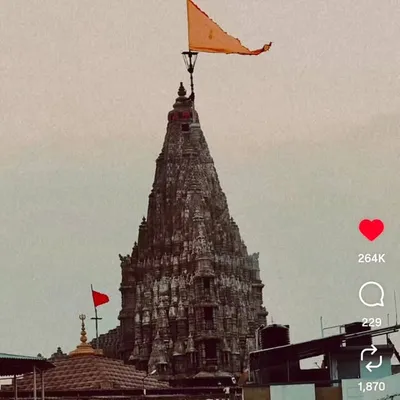 Rohit_thakor profile