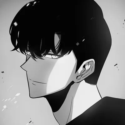 all_anime_editor profile
