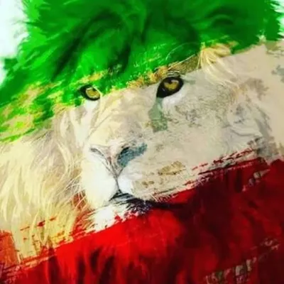 Mohammad Reza Aslani profile