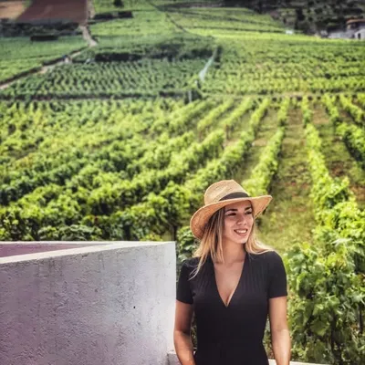 Roja Wine by Romanela Amato profile