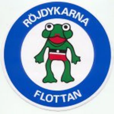 RÖJDYKARNA Flottan - SWE EOD DIVERS profile