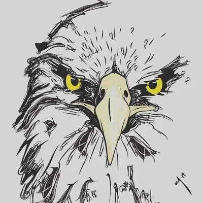 NIKE BOY 💯🫶 profile