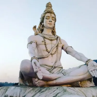 Ronak Kundu profile