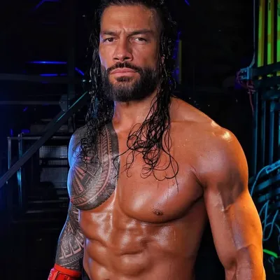 Joe Anoai aka “Roman Reigns” profile