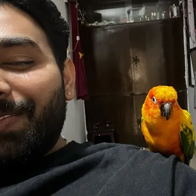 Ronak Pagar ๐ profile