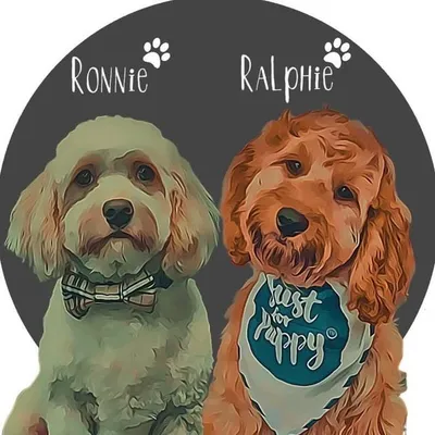 Ronnie & Ralphie profile