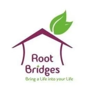 Root Bridges profile