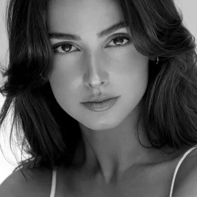 Rosa profile