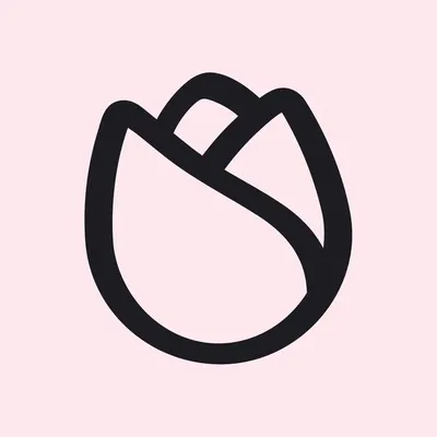 RoseSkinCo. profile