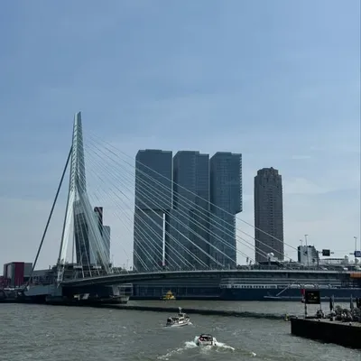 Rotterdam profile
