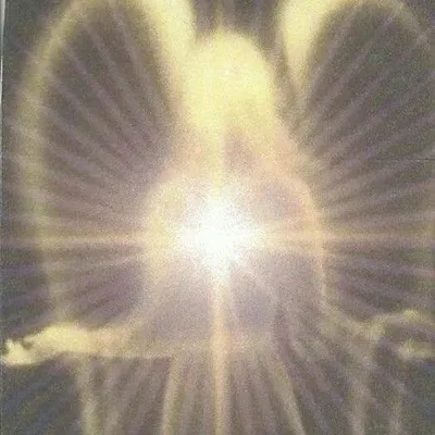 rina・✫・゜ profile