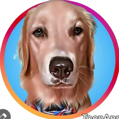Love You All! 🐶🦴 profile