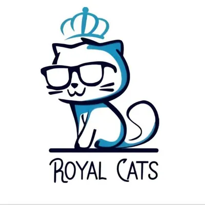 royal cats ๐พ๐ profile