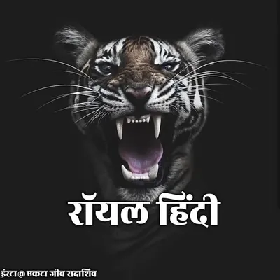 Hindi Status official profile