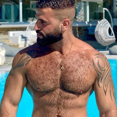 Roye arbel profile
