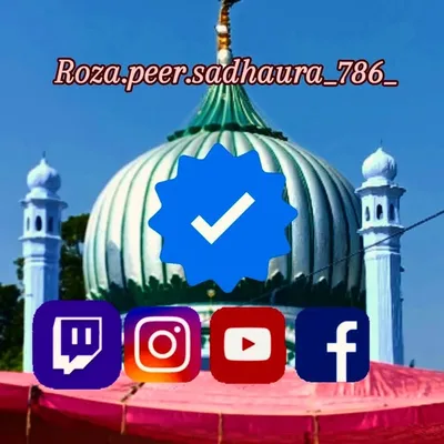 Roza Peer Sadhaura 🙏11v wala Peer♥️ profile