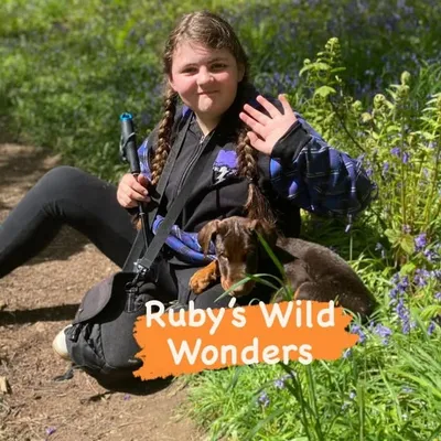 RRW profile