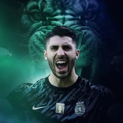 Rui Silva profile