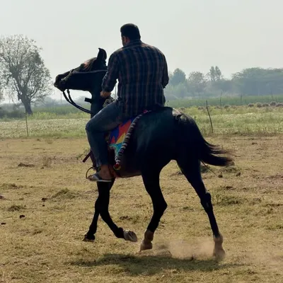 ⚔️ ઋષિરાજસિંહ બળદેવસિંહ જાડેજા 🚩 profile