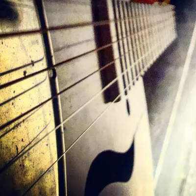 Rusted Twang - FogoLabs profile