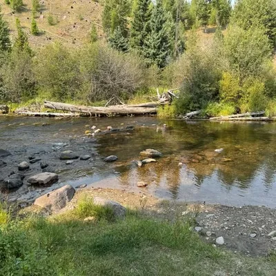 RusticWilderness profile