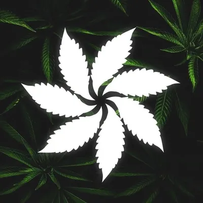 RxLeaf Cannabis profile