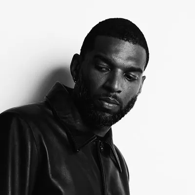 Ryan Babel profile