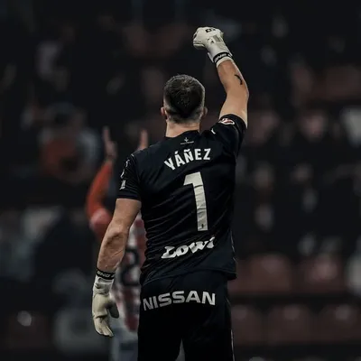 Rubén Yáñez Alabart profile