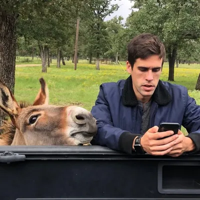 Ryan Holiday profile