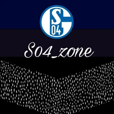 s04_fanpage2.0 (November 2014) profile