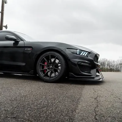 2015+ MUSTANGS ONLY profile