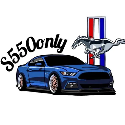2015+ Mustangs Only profile