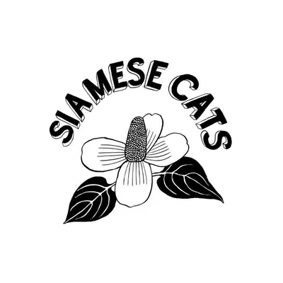 シャムキャッツ Siamese Cats profile