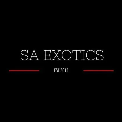 Exotic cars of South Africa