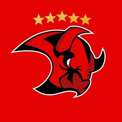 Saale Bulls profile