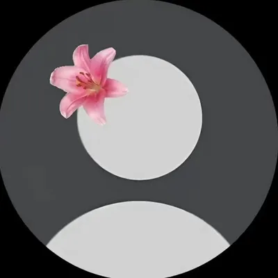 Sabii Instagram profile photo