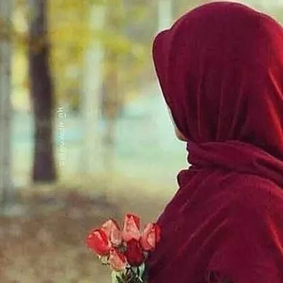 صبا profile