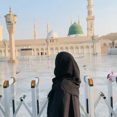 Sabahat Sheikh ๐ฎ๐ณ profile