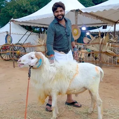 Sabarinathan profile