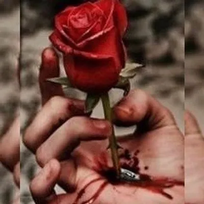 ๐ Dil Ki Bat Shayri Ke Sath ๐ profile
